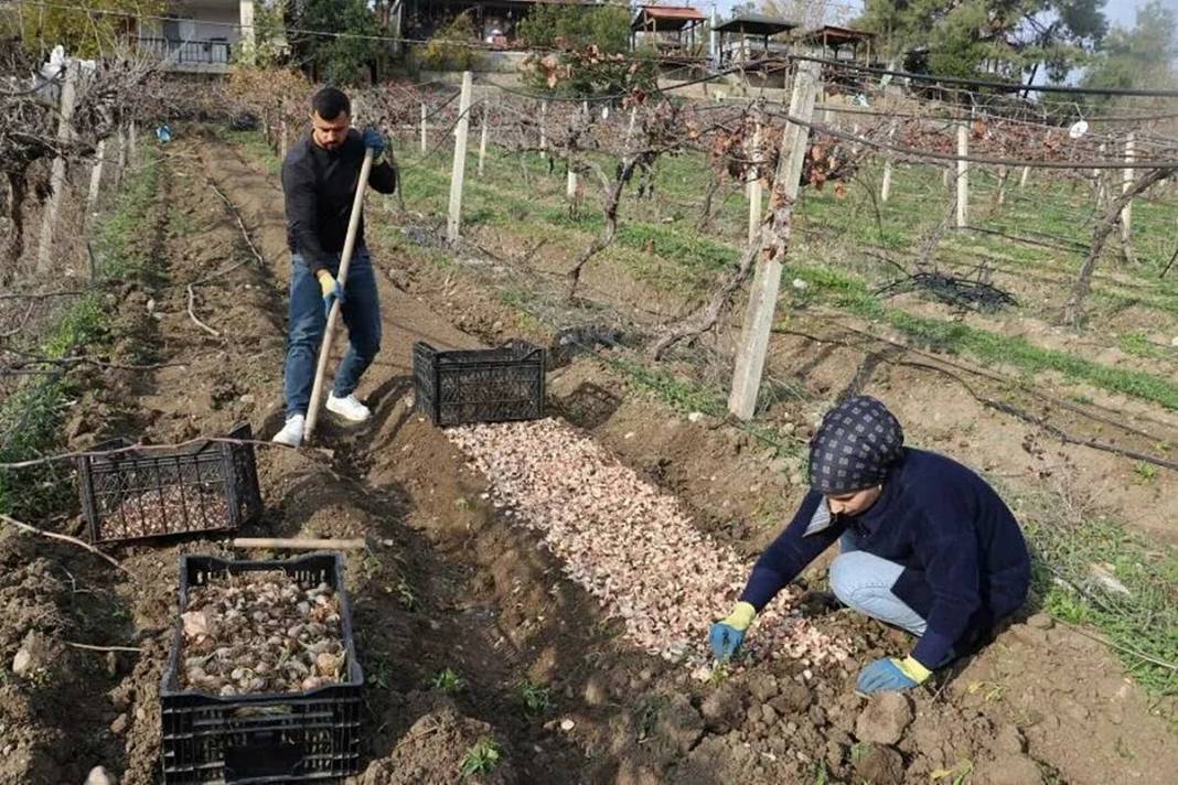 Hobi olarak başladığı iş, Türkiye'nin yeni ihracat kapısı oldu 14